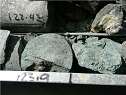 Show Photo 4 in New Window