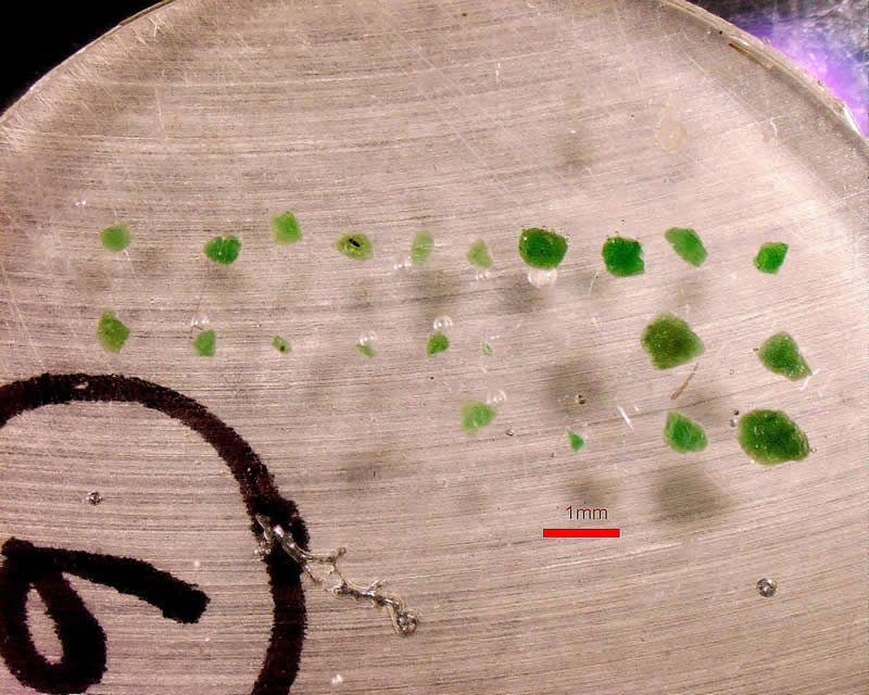 5_chrome_diopside